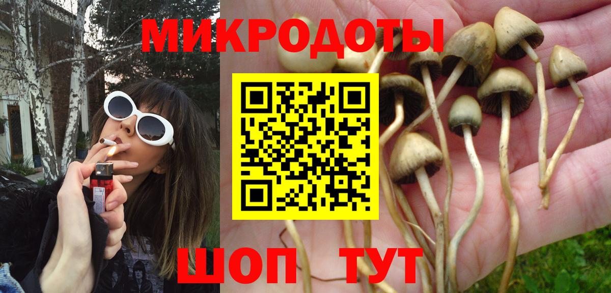 Тамбов  цена наркотик  Вход с VPN  Галлюциногенные грибы Psilocybine cubensis 